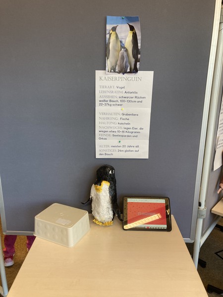 Pinguine im Gebärdenunterricht