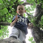 Eldar ist auf dem Bauernhof auf dem Spielplatz auf einen Baum geklettert und dann hat Frau Neumann ein Foto gemacht. (vergrößerte Bildansicht wird geöffnet)
