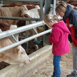Emma und Frau Tobey haben die Kühe angeschaut. (vergrößerte Bildansicht wird geöffnet)
