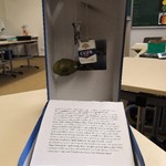 vergrößerte Bildansicht wird geöffnet